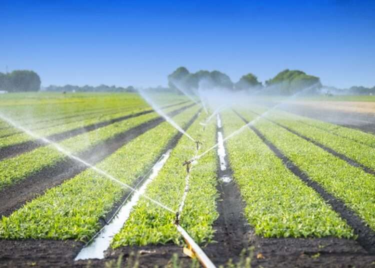 Ghanaian farmers to benefit from New irrigation techniques, Food Production to increase 1 Irrigation techniques