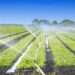 Irrigation techniques