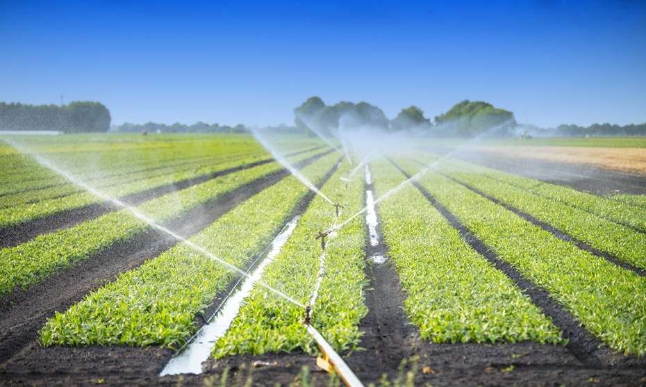 Ghanaian farmers to benefit from New irrigation techniques, Food ...