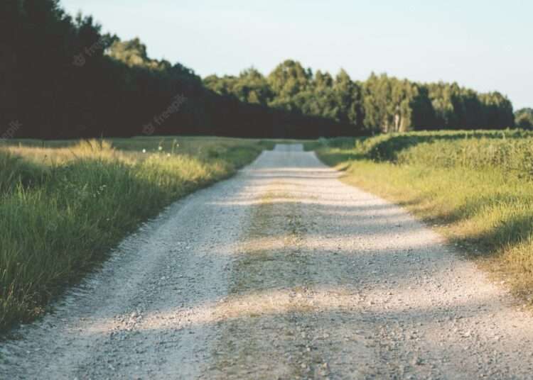 Agricultural road