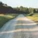 Agricultural Roads to be Constructed, Market Linkages for Rural Farmers Unrestricted 12 Agricultural road