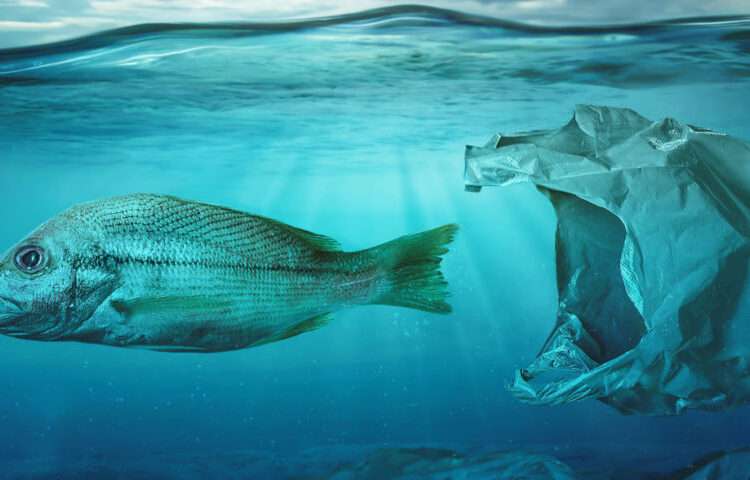 Plastic in water