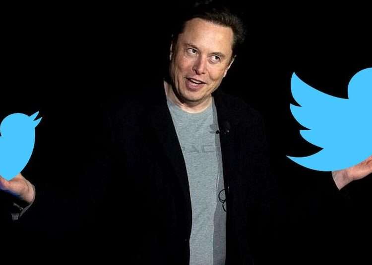 10% of Twitter’s Active Accounts Post Spam Content- GlobalData 1 twitter