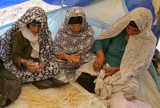 World Bank Contributes $150 Million to Address the Worsening Food Security in Afghanistan 1 Food security