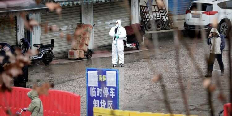 Scientists say Covid Origin Evidence Points to Wuhan Market 1 There is a "strong association" between the early outbreak and the sale of live animals in a market, scientists say