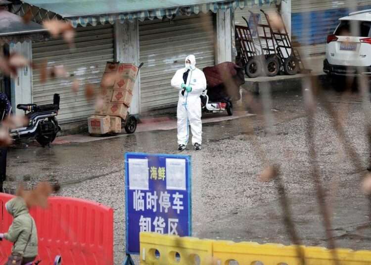 Scientists say Covid Origin Evidence Points to Wuhan Market 1 There is a "strong association" between the early outbreak and the sale of live animals in a market, scientists say