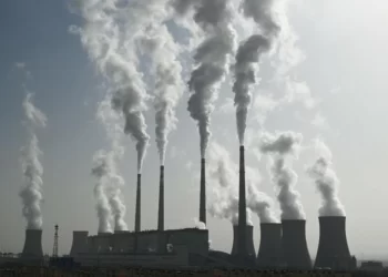 China Speeding up new Coal Plants Approvals: Greenpeace 2 China relies heavily on coal for generating electricity, but authorities have pledged to peak carbon emissions by 2030