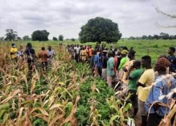 Chairman of ACMF Appeals to Gov’t to Invest in the Agricultural Sector 5 Chairman of ACMF Appeals to Gov’t to Invest in the Agricultural Sector