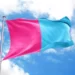#Fetrah: Online Campaign Against LGBTQ+ Community Goes Viral in Morocco 11 #Fetrah: Online Campaign Against LGBTQ+ Community Goes Viral in Morocco