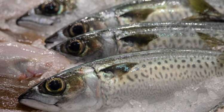 Aquatic fisheries