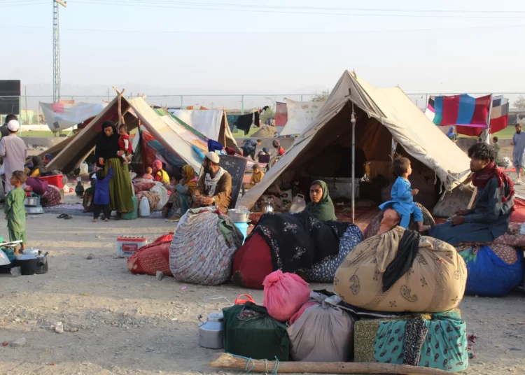 WHO Report Shows Poorer Health Outcomes For Many Vulnerable Refugees And Migrants 1 WHO Report Shows Poorer Health Outcomes For Many Vulnerable Refugees And Migrants