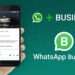 Network International & Infobip To Offer Whatsapp For Business Banking Services Across Africa