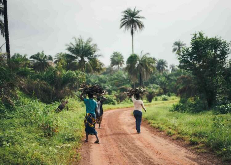 SMS COVID-19 Response Project closes in Kumasi, over 5 000 smallholder cocoa farmers Benefit 1 Rural farmers
