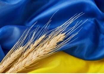 Grain in Ukraine