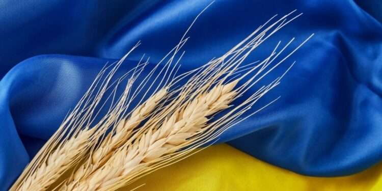 FAO scales up efforts to save upcoming harvest, ensure Functionality of Grains supply chains in Ukraine 1 Grain in Ukraine