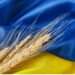 FAO scales up efforts to save upcoming harvest, ensure Functionality of Grains supply chains in Ukraine 13 Grain in Ukraine