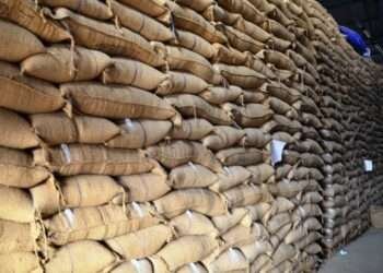 Ghana has about 27 000mt of maize stored, there won’t be a Hunger Strike- Agric Minister Assures 1 Grains stored