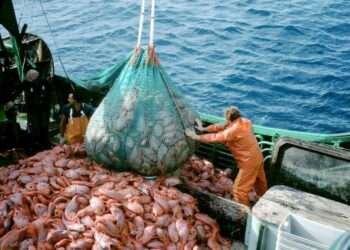 Fisheries-Stakeholders Appeal to Fisheries Minister to Regulate Sector, Seek Clarity on Authorization of 2 Industrial Trawlers 1 Trawler on the sea