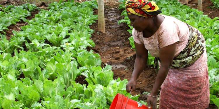 Ghana To Benefit From Second Phase Of FSRP-2 World Bank Financing 1 Ghana To Benefit From Second Phase Of FSRP-2 World Bank Financing
