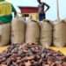 COCOBOD Strengthens Anti-Smuggling Measures to Protect Ghana’s Cocoa Industry