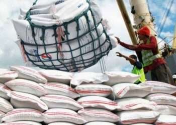 Uganda: Trade Minister Accused Of Unfair Policies On Rice Importation