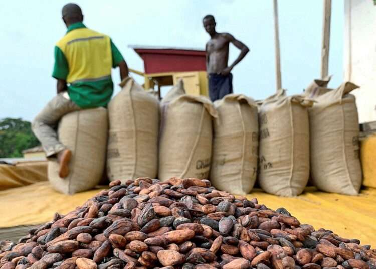 An economist at the University of Ghana, Professor Ebo Turkson, has expressed the need for government to equip and support domestic producers in the country to with what they need to be competitive.