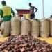 An economist at the University of Ghana, Professor Ebo Turkson, has expressed the need for government to equip and support domestic producers in the country to with what they need to be competitive.