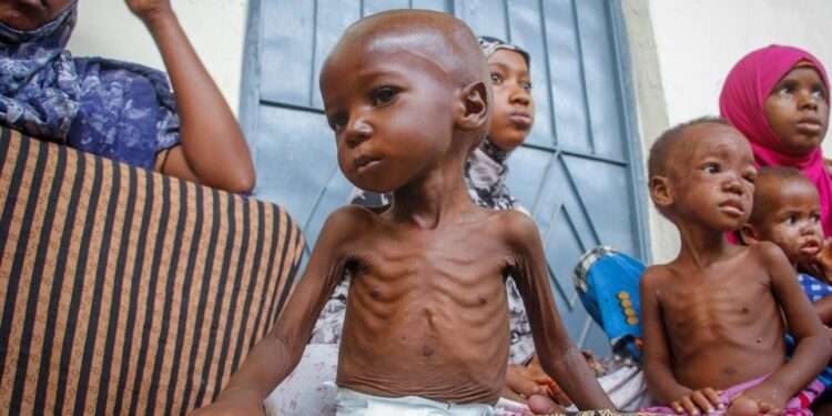 IRC Warns Of Imminent Famine Declaration For Millions In Somalia Due To Extreme Drought