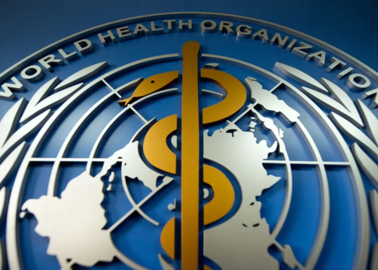 World Health Organization Field Officer Killed In South Sudan 1 World Health Organization Field Officer Killed In South Sudan