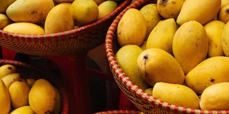 ITC Chief Urges Africans to Develop Mango and Cassava Sector 1 Peter Karasev/Offset