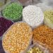 President of the National Seed Traders Association of Ghana (NASTAG), Kwabena Adu-Gyamfi, has bemoaned the low financing of agriculture from banks in the country.
