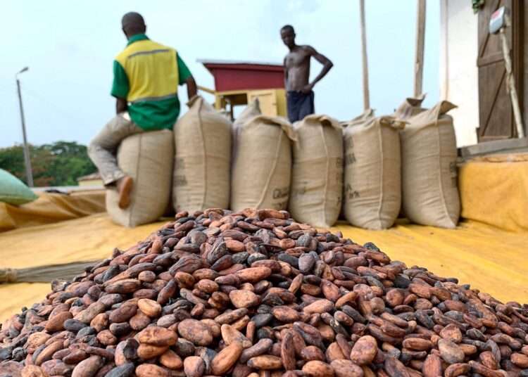 EU Ambassador to Ghana, Irchad Razaarly, has dismissed reports that Ghana’s cocoa will be banned on the international market.