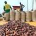 EU Ambassador to Ghana, Irchad Razaarly, has dismissed reports that Ghana’s cocoa will be banned on the international market.