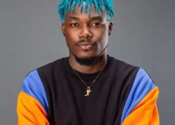 Make collaborations Beyond The Borders Of Africa – Camidoh Advises 9 Camidoh