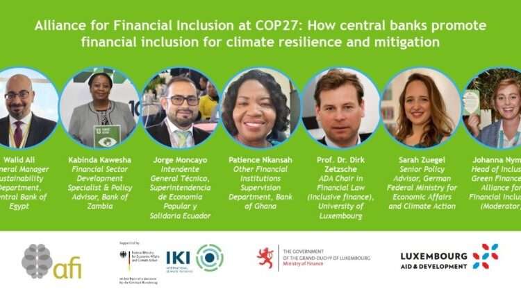 <strong>F</strong><strong>inancial </strong><strong>R</strong><strong>egulators</strong><strong> of Developing Economies To Implement “Inclusive Green Finance” for Climate Resilience and Mitigation</strong> 1 Financial Regulators of Developing Economies To Implement “Inclusive Green Finance” for Climate Resilience and Mitigation