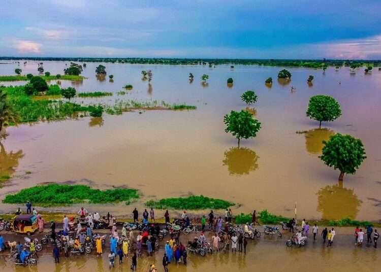 Nigeria: NEMA To Collaborate With UN-OCHA In Providing Support To Communities Affected By Floods 1 Nigeria floods