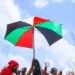 Overview of NDC's Regional Elections 11 File Photo