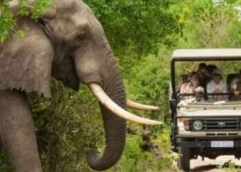 Tourism Recovery Accelerates To Reach 63% Of Pre-Pandemic LevelsTou