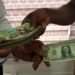 Head of price statistics unit at the Ghana Statistical Service (GSS), John Foster Agyaho, has revealed that the issue of black markets which illegal deal in dollars create artificial shortages in the country.