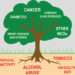 Chronic non-communicable diseases; a major cause of death in Ghana.