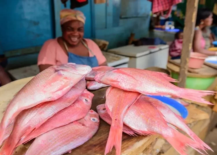 Fisheries Sector Needs Restoration – Fisheries Association Secretary Tells Government 1 Fish at the market
