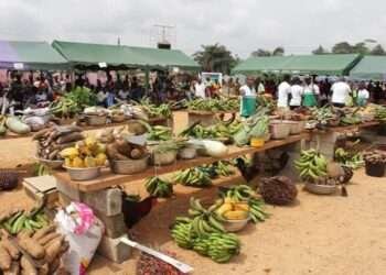 <strong>Blaming High Food Prices of Food on Fuel and Transportation Over-Exaggerated- Agric Minister</strong> 7 Blaming High Food Prices of Food on Fuel and Transportation Over-Exaggerated- Agric Minister