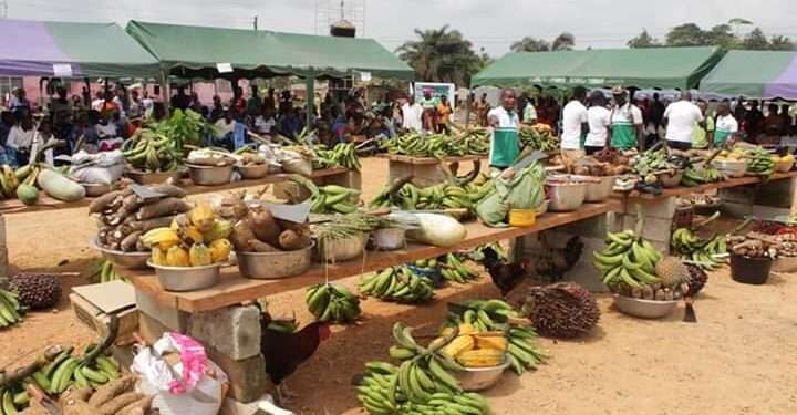 Blaming High Food Prices of Food on Fuel and Transportation Over-Exaggerated- Agric Minister