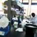 Pharmaceutical Association Calls For Special Tax Regime For Medicines 13 President of the Pharmaceutical Importers and Exporters Association, William Adum Addo, has expressed the need for government to introduce special tax regime for medicines in the country.