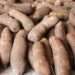 One Tuber of Yam in Takoradi is GH¢20. 00, Government Must Intervene to Control Prices- Director of Agriculture 14 Tubers of Yam
