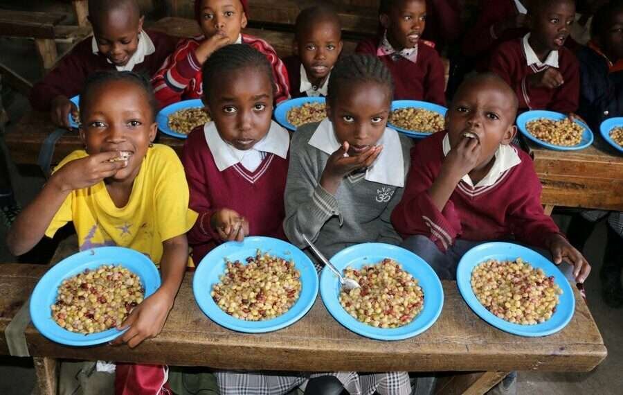 AU Pledges to Improve Nutrition and Food Security in Africa 1 AU Pledges to Improve Nutrition and Food Security in Africa