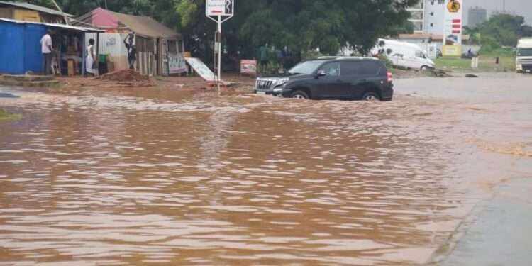 EIB Climate Survey: 88% Of African Respondents Believe That Climate Change  Is Already Affecting Their Everyday Life