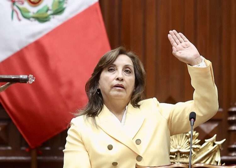 Peru's New President, Dina