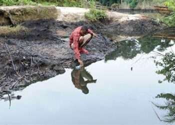 Nigerian Farmers Get $16 million Compensation from Shell Over Oil Damage