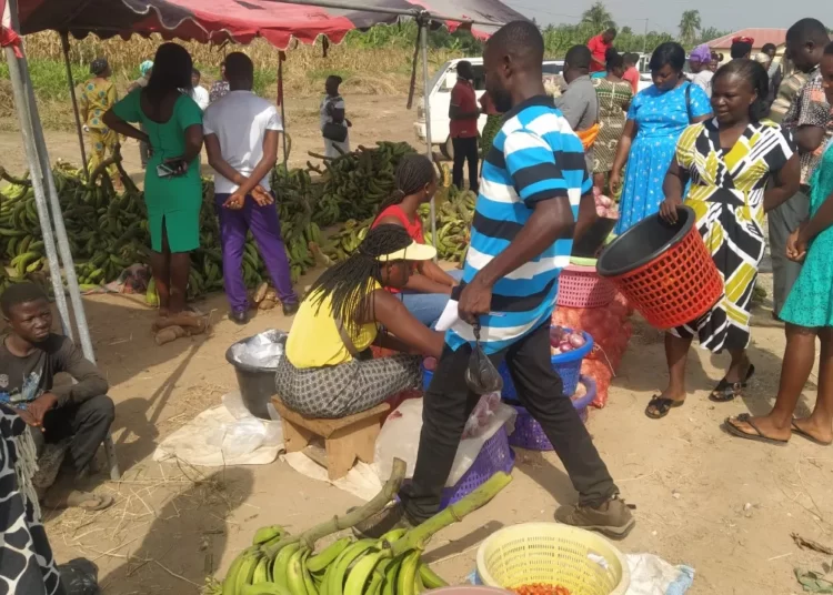 PFJ Farmers’ Market Set Up in New Juaben South
